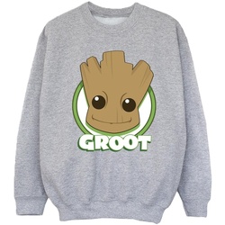 Vêtements Fille Sweats Guardians Of The Galaxy Groot Badge Gris