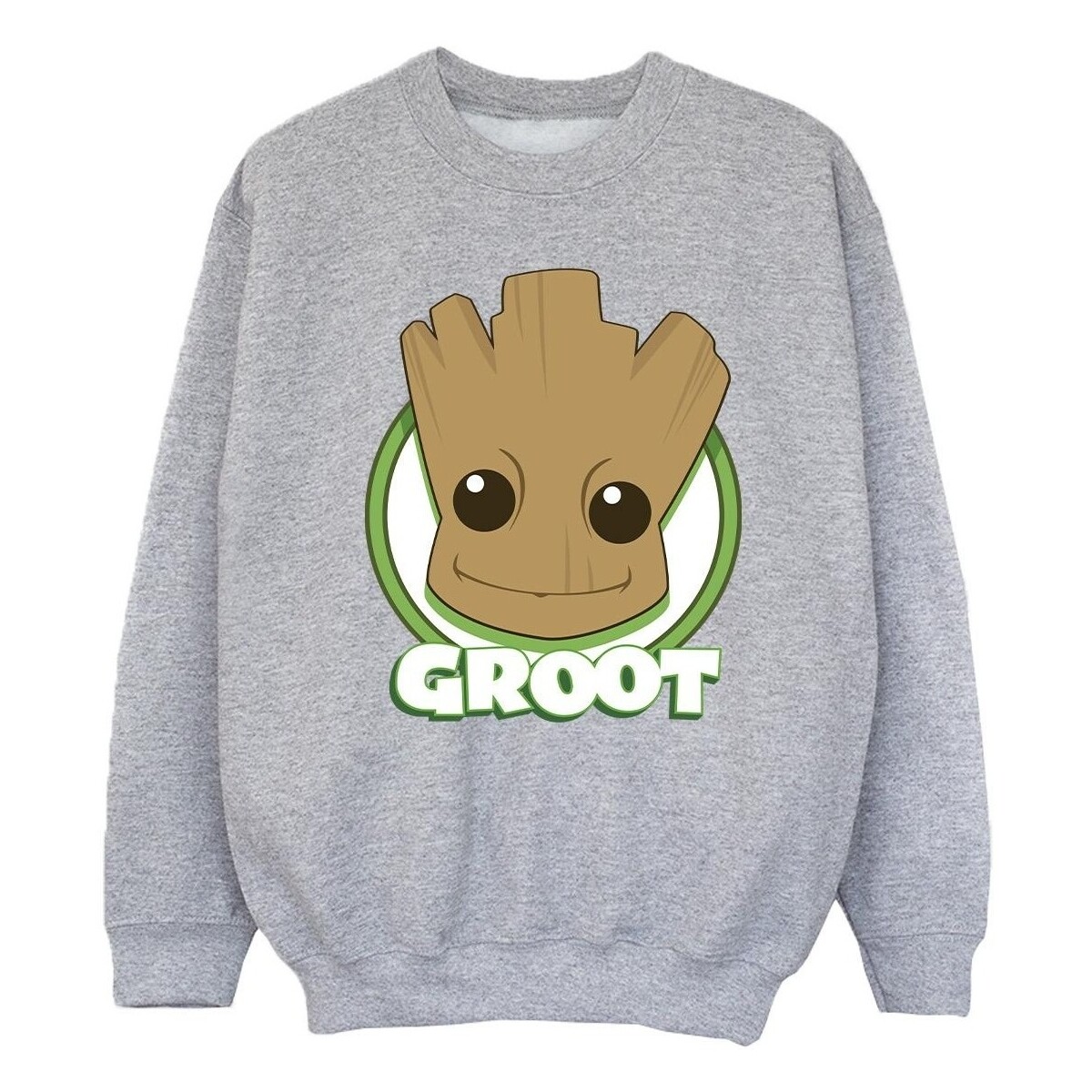 Vêtements Fille Sweats Guardians Of The Galaxy Groot Badge Gris