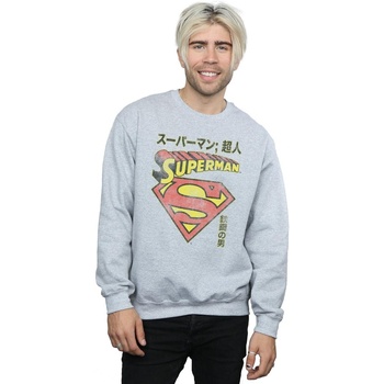Vêtements Homme Sweats Dc Comics Superman Shield Gris