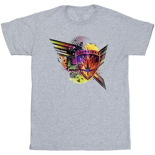 Vêtements Fille T-shirts manches longues Marvel Guardians Of The Galaxy Abstract Shield Chest Gris
