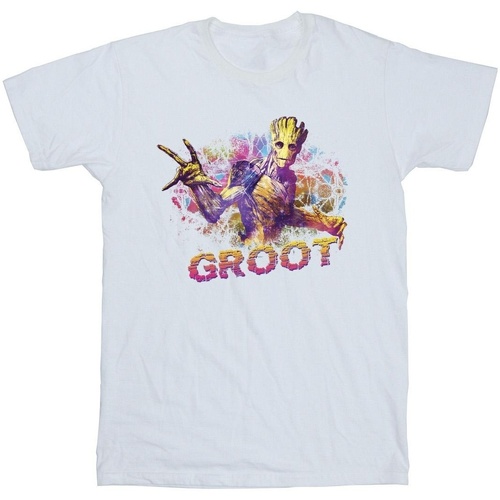 Vêtements Fille T-shirts manches longues Marvel Guardians Of The Galaxy Abstract Groot Blanc