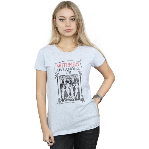 Vêtements Femme T-shirts manches longues Fantastic Beasts Witches Live Among Us Gris