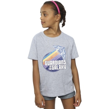 Vêtements Fille T-shirts manches longues Guardians Of The Galaxy Badge Rocket Gris