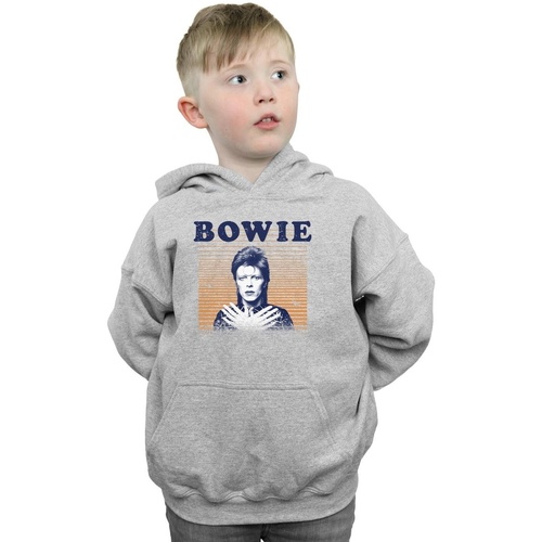 Vêtements Garçon Sweats David Bowie Orange Stripes Gris