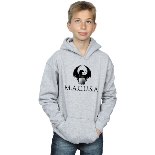 Vêtements Garçon Sweats Fantastic Beasts MACUSA Logo Gris