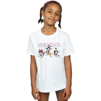 Vêtements Fille T-shirts manches longues Animaniacs Group Jump Blanc