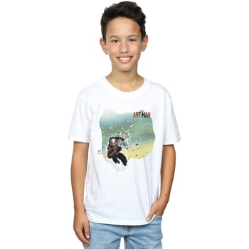 Vêtements Garçon T-shirts & Polos Marvel Ant-Man Shatter Blanc