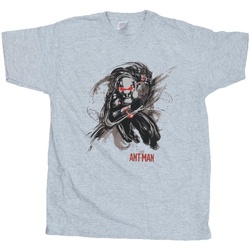 Vêtements Garçon T-shirts manches courtes Marvel Ant-Man Running Gris