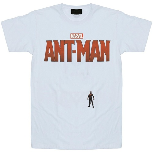 Vêtements Garçon T-shirts manches courtes Marvel Ant-Man Tiny Blanc