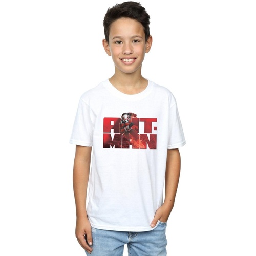 Vêtements Garçon T-shirts manches courtes Marvel Ant-Man Running Blanc