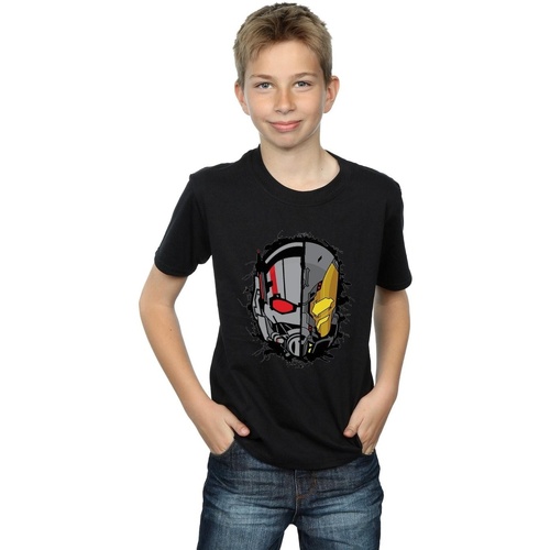 Vêtements Garçon T-shirts manches courtes Marvel Ant-Man Split Helmet Noir
