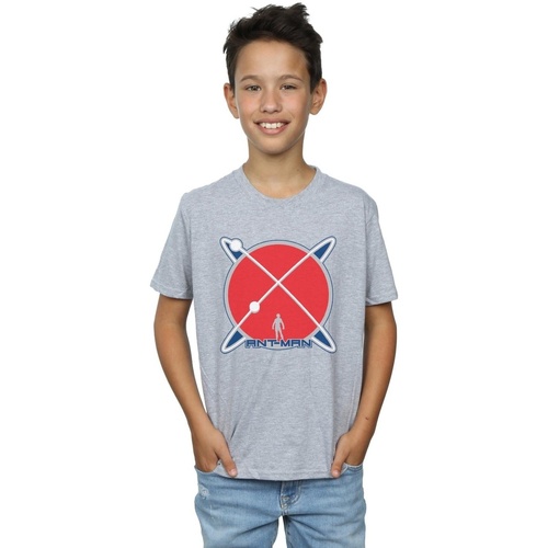Vêtements Garçon T-shirts manches courtes Marvel Ant-Man Planet Logo Gris