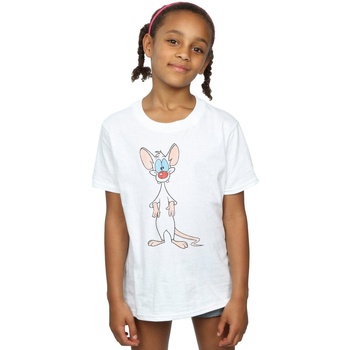 Vêtements Fille T-shirts manches longues Animaniacs Pinky Classic Pose Blanc