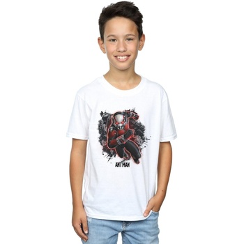 Vêtements Garçon T-shirts manches courtes Marvel Ant-Man Ants Running Blanc