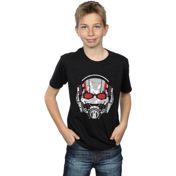 Vêtements Garçon T-shirts manches courtes Marvel Ant-Man Helmet Distressed Noir