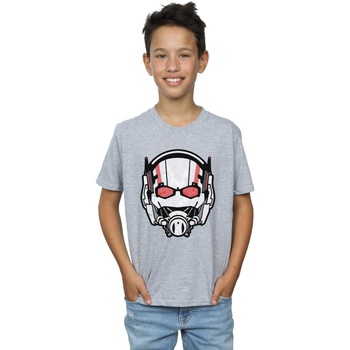Vêtements Garçon T-shirts manches courtes Marvel Ant-Man Helmet Distressed Gris