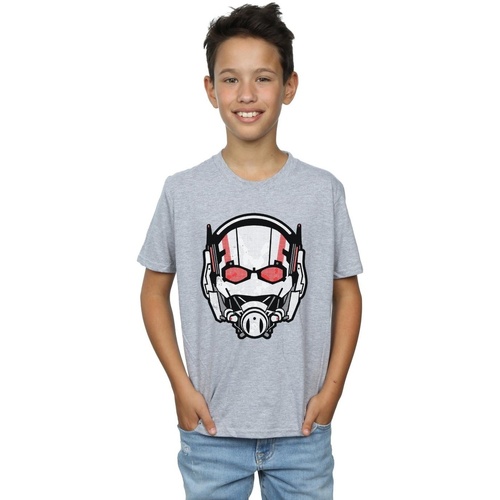 Vêtements Garçon T-shirts manches courtes Marvel Ant-Man Helmet Distressed Gris