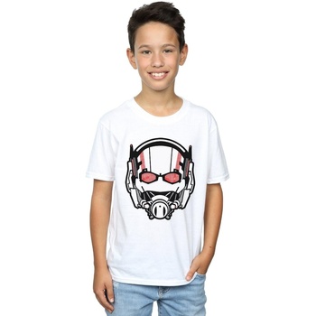 Vêtements Garçon T-shirts manches courtes Marvel Ant-Man Helmet Distressed Blanc