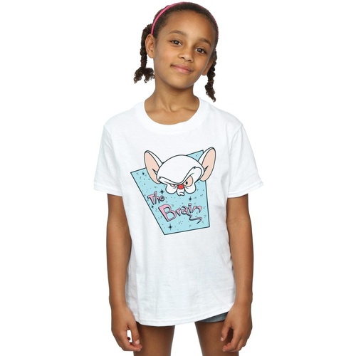 Vêtements Fille T-shirts manches longues Animaniacs The Brain Mugshot Blanc