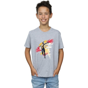 Vêtements Garçon T-shirts manches courtes Marvel Ant-Man And The Wasp Hope Brushed Gris