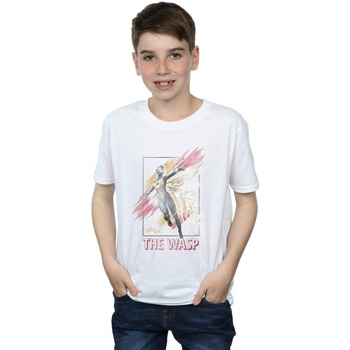 Vêtements Garçon T-shirts manches courtes Marvel Ant-Man And The Wasp Framed Wasp Blanc