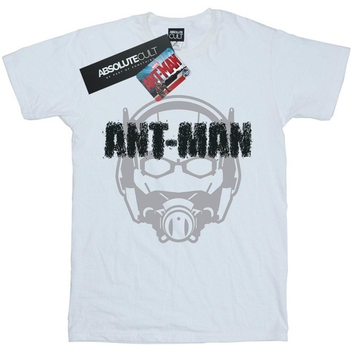 Vêtements Fille T-shirts manches longues Marvel Ant-Man Helmet Fade Blanc