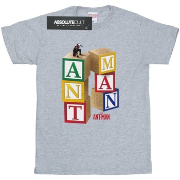 Vêtements Fille T-shirts manches longues Marvel Ant-Man Blocks Gris