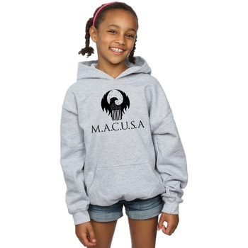 Vêtements Fille Sweats Fantastic Beasts MACUSA Logo Gris