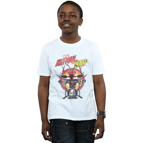 Vêtements Garçon T-shirts manches courtes Marvel Ant-Man And The Wasp Drummer Ant Blanc