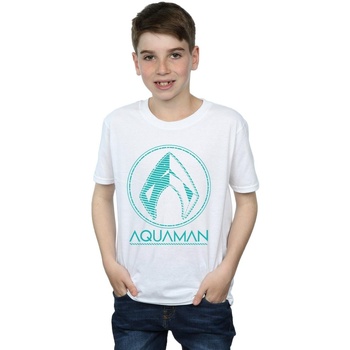 Vêtements Garçon T-shirts manches courtes Dc Comics Aquaman Aqua Logo Blanc