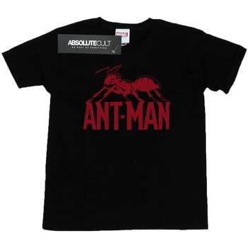Vêtements Fille T-shirts manches longues Marvel Ant-Man Logo Noir