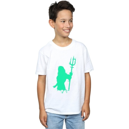 Vêtements Garçon T-shirts manches courtes Dc Comics Aquaman Aqua Silhouette Blanc