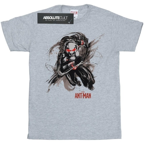 Vêtements Fille T-shirts manches longues Marvel Ant-Man Running Gris