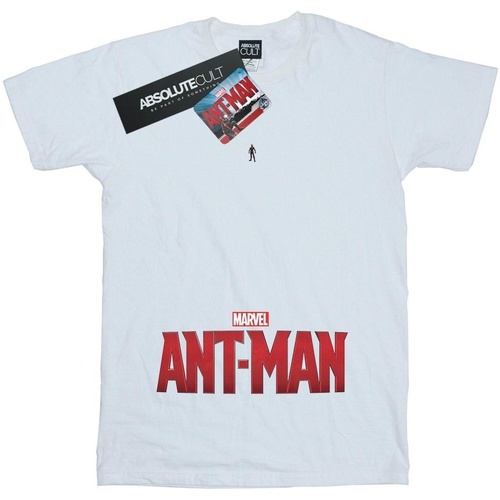 Vêtements Fille T-shirts manches longues Marvel Ant-Man Ant Sized Logo Blanc