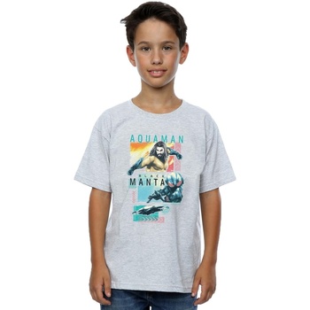 Vêtements Garçon T-shirts manches courtes Dc Comics Aquaman Character Tiles Gris
