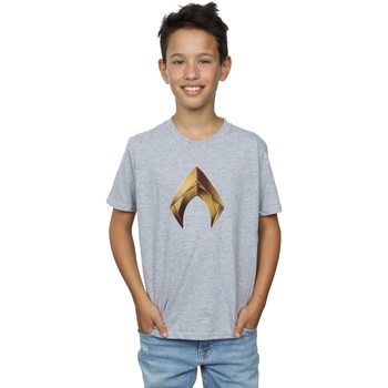 Vêtements Garçon T-shirts manches courtes Dc Comics Aquaman Emblem Gris
