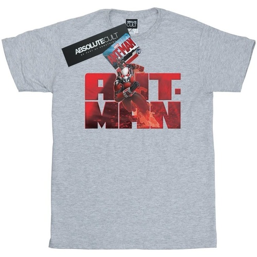Vêtements Fille T-shirts manches longues Marvel Ant-Man Running Gris
