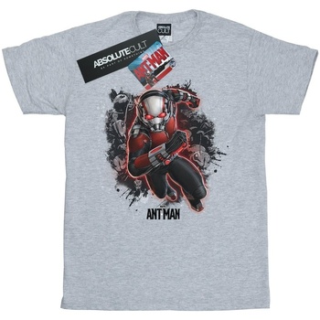 Vêtements Fille T-shirts manches longues Marvel Ant-Man Ants Running Gris