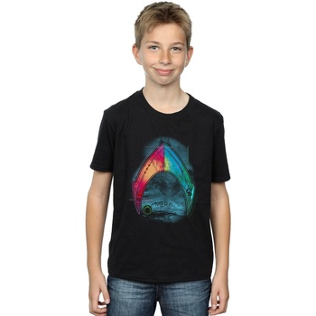 Vêtements Garçon T-shirts manches courtes Dc Comics Aquaman Mera Logo Noir