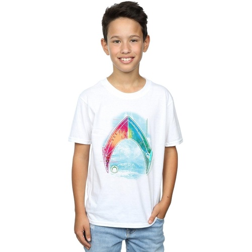 Vêtements Garçon T-shirts manches courtes Dc Comics Aquaman Mera Logo Blanc