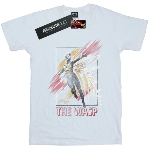 Vêtements Fille T-shirts manches longues Marvel Ant-Man And The Wasp Framed Wasp Blanc