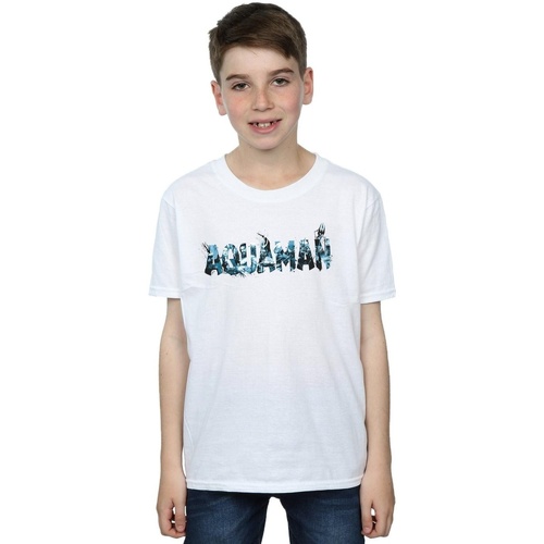 Vêtements Garçon T-shirts manches courtes Dc Comics Aquaman Text Logo Blanc