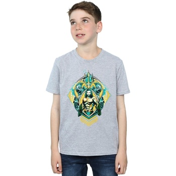Vêtements Garçon T-shirts manches courtes Dc Comics Aquaman The Trench Crest Gris