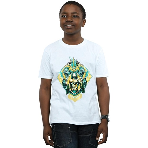 Vêtements Garçon T-shirts manches courtes Dc Comics Aquaman The Trench Crest Blanc
