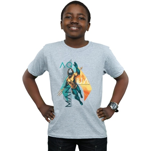 Vêtements Garçon T-shirts manches courtes Dc Comics Aquaman Tropical Icon Gris