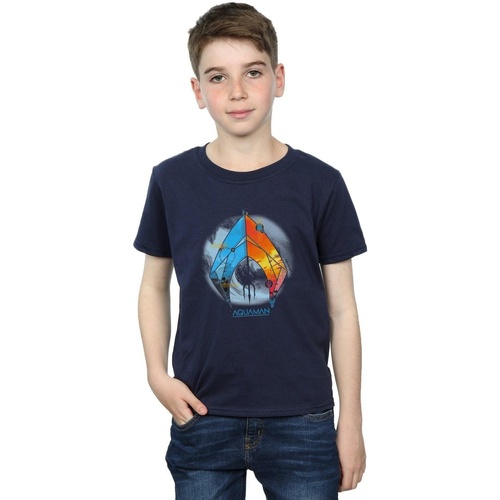 Vêtements Garçon T-shirts manches courtes Dc Comics Aquaman Tropical Logo Bleu