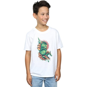 Vêtements Garçon T-shirts manches courtes Dc Comics Aquaman Xebel Crest Blanc