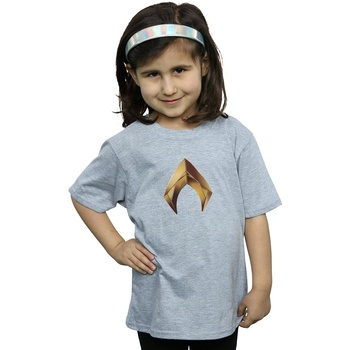 Vêtements Fille T-shirts manches longues Dc Comics Aquaman Emblem Gris