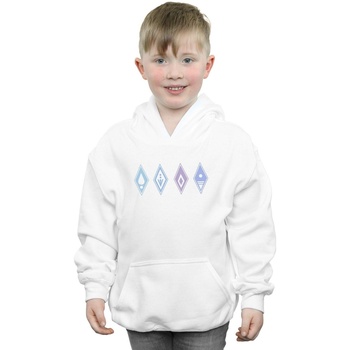 Vêtements Garçon Sweats Disney Frozen 2 Elements Symbols Blanc