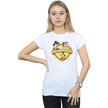 Vêtements Femme T-shirts manches longues Animaniacs Logo Crest Blanc
